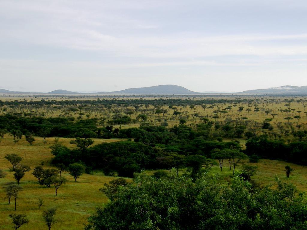 Mbalageti Серенгети Экстерьер фото